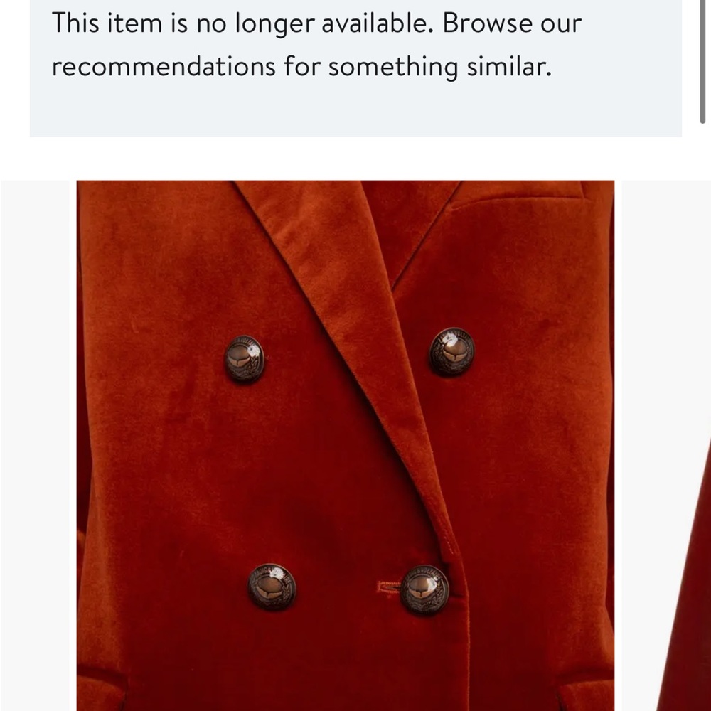 Zadig & Voltaire Burnt Orange Velvet Blazer - Picture 3 of 6